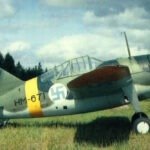 Brewster Buffalo 1/5