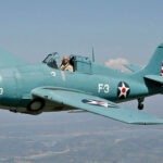 Grumman F4F Wildcat 1/5