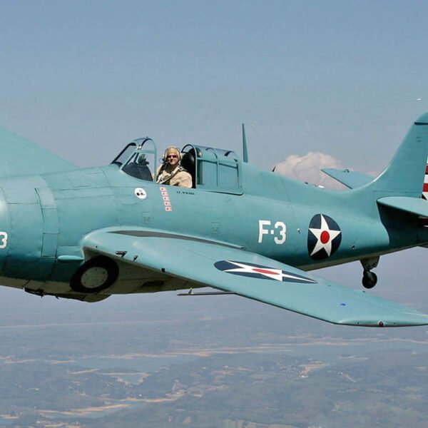Grumman F4F Wildcat 1/5