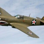 Curtiss P-40 Warhawk 1/4.6