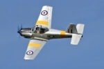 Percival Provost T.1 1/5