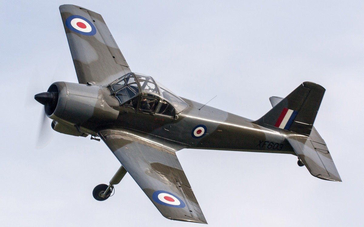 Provost_1 Percival P.56 Provost - Image 1